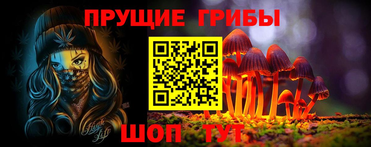 Галлюциногенные грибы ЛСД Тула